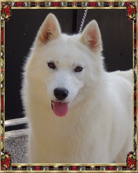 Azur white Of ruby's river