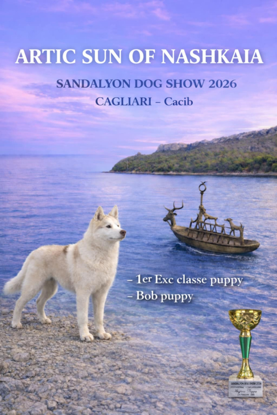 CACIB Cagliari (Italie) 22 fevrier 2026